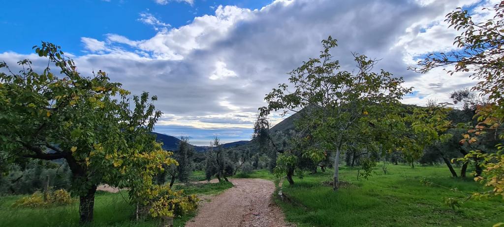 17cb040b-aaa8-4980-99de-7891a2678505